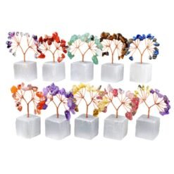 10 Types of Crystal Tree with Selenit Base Wholesale 130040000