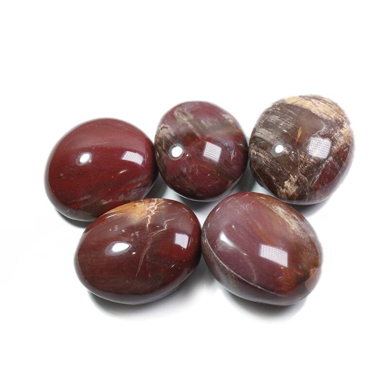 1.97-2.36 in Petrified Wood Tumbled Stone Wholesale