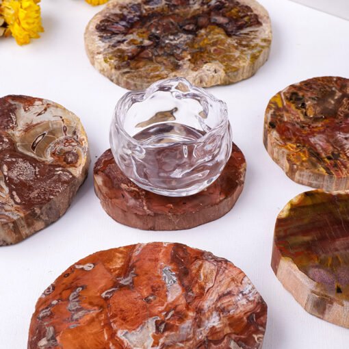 4 Sizes of Red Petrified Wood Crystal Crystal Slices Wholesale 140016000-3