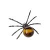 5pcs Brown Tigers Eye Crystal Animal,Crystal Animal Crystal Spider Wholesale 141004008