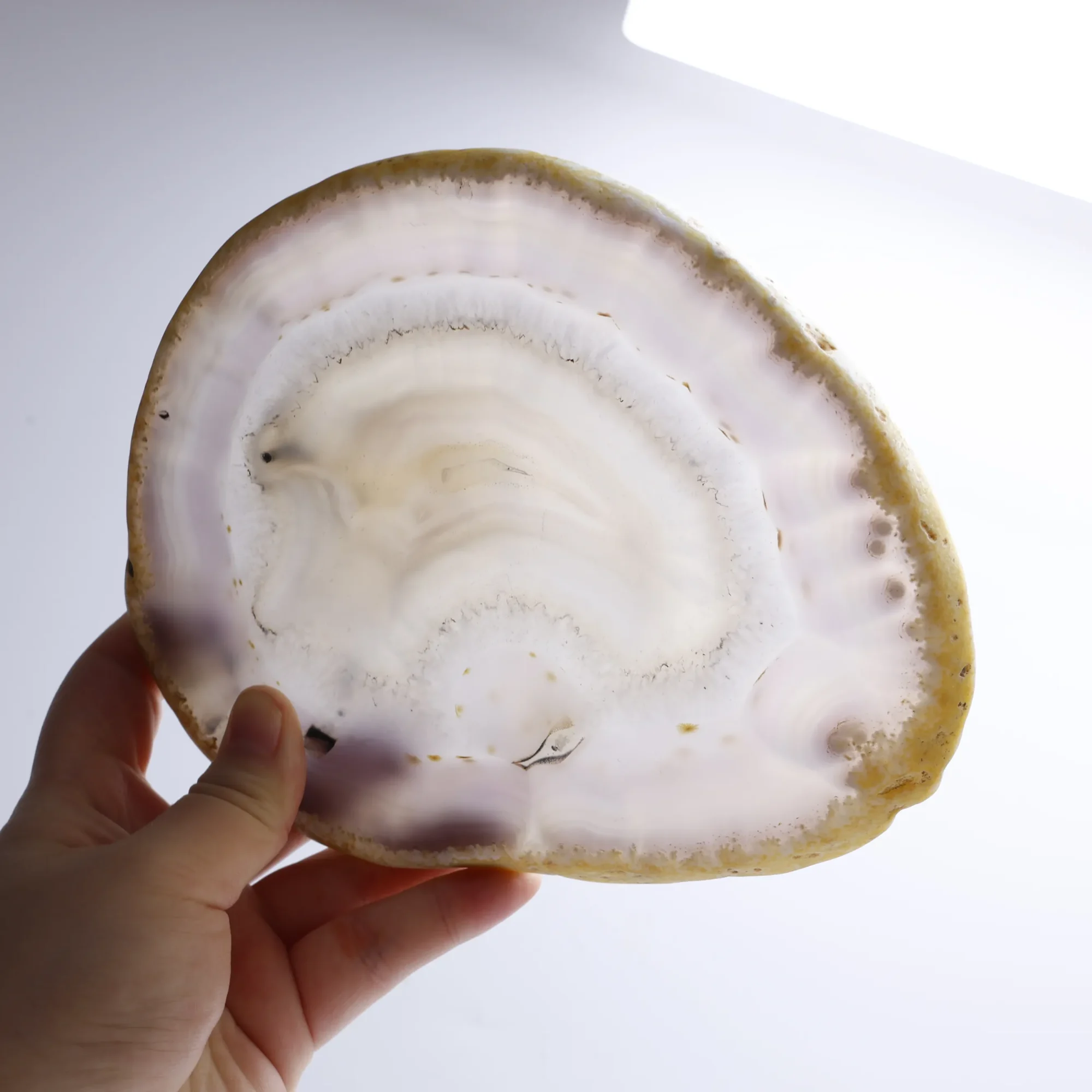 Natural Brazilian Agate Slice Display Specimen with Wooden Stand 6.3–7.9 in-040011001-2