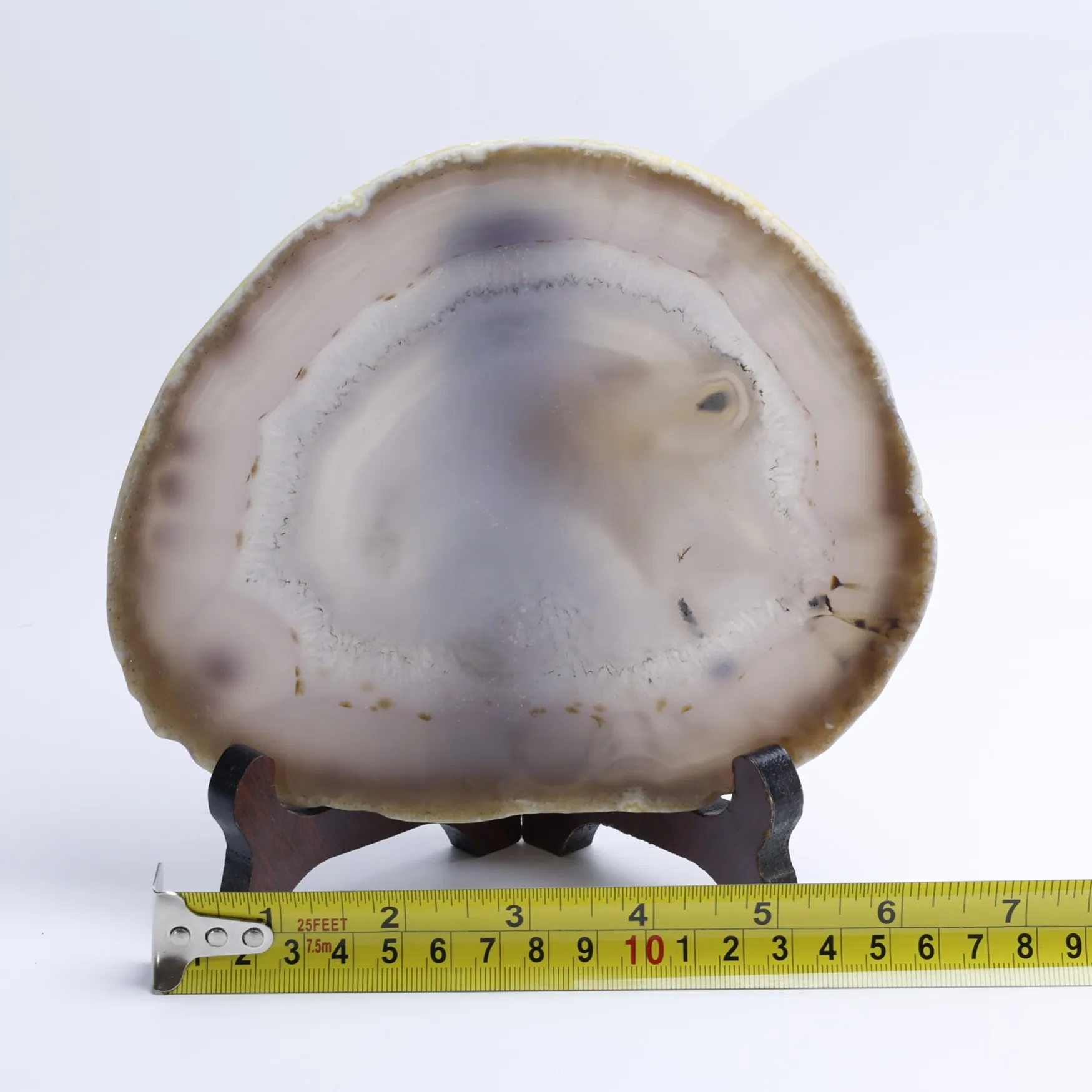 Natural Brazilian Agate Slice Display Specimen with Wooden Stand 6.3–7.9 in-040011001-4
