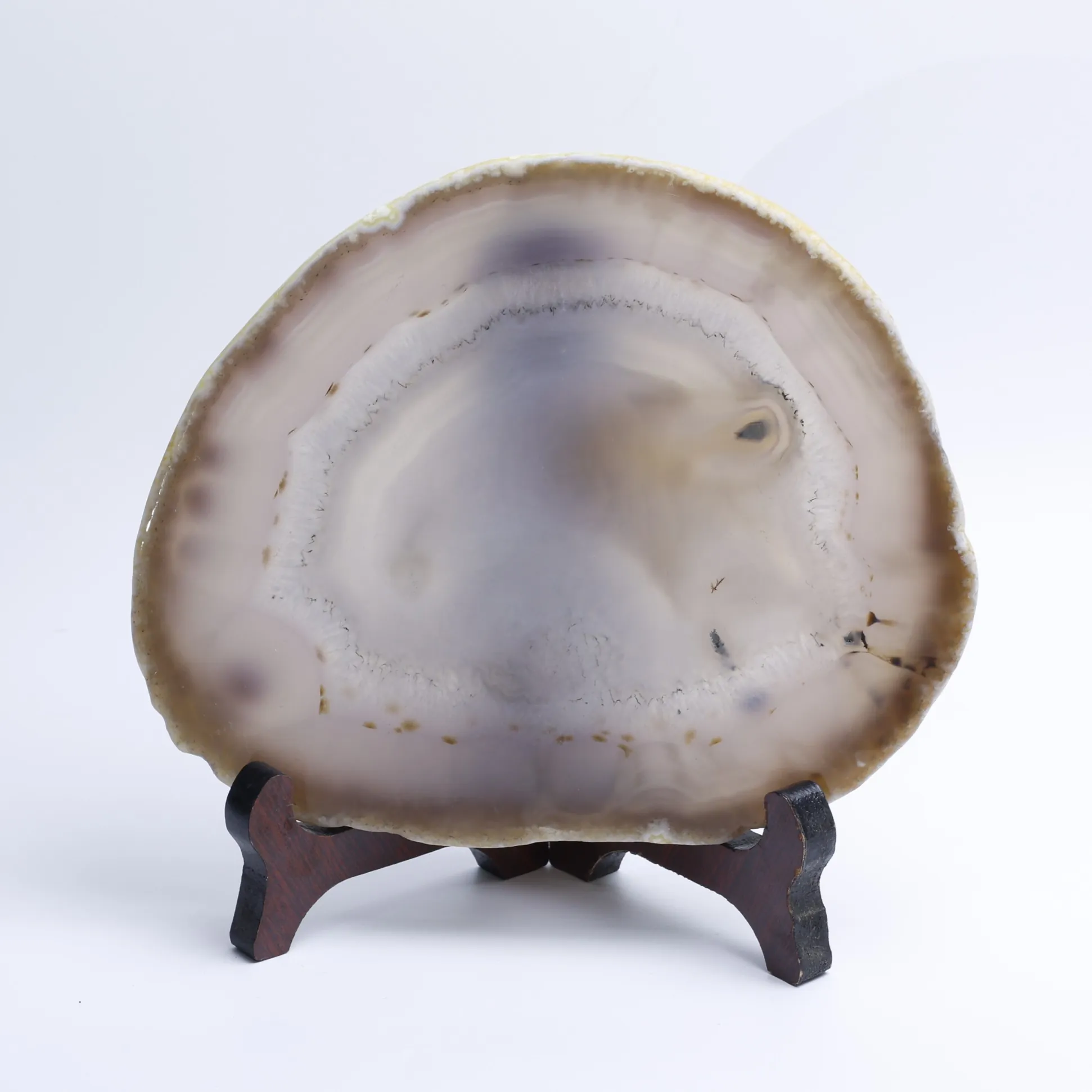 Natural Brazilian Agate Slice Display Specimen with Wooden Stand 6.3–7.9 in-040011001