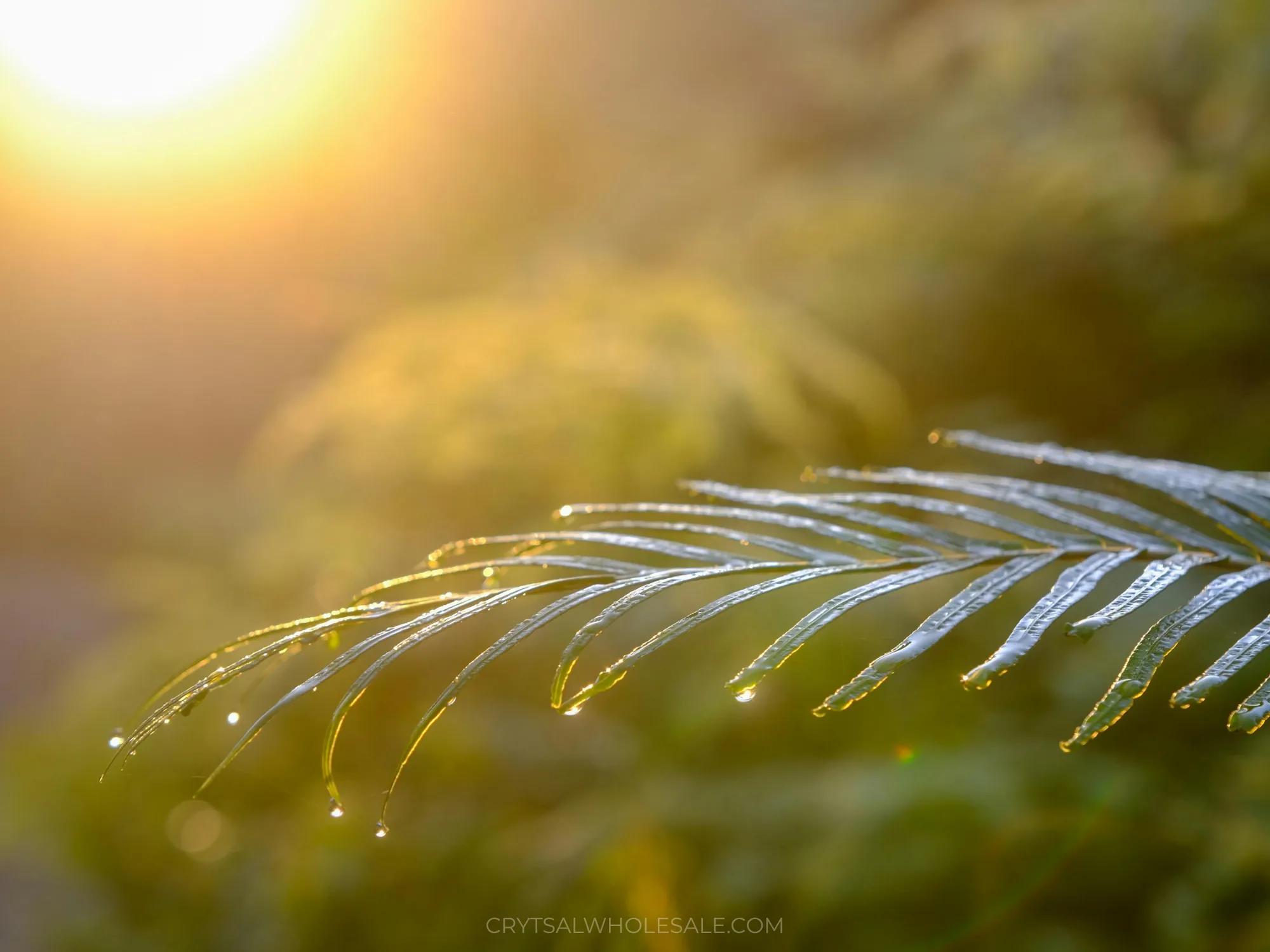 Crystal Sunlight Cleansing